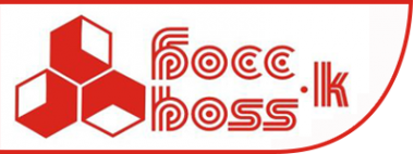 Логотип компании БОСС-К