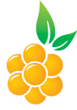 Логотип компании Морошка