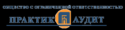 Логотип компании ПРАКТИК-АУДИТ