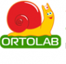 Логотип компании Магазин Медтехника и ортопедия Ortolab