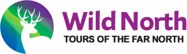 Логотип компании Wild North